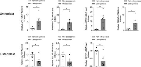 Quantitative Real Time Pcr Analyses Of Osteoblast And Download Scientific Diagram