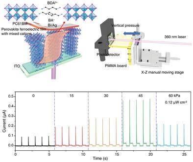 A Self Powered UV Photodetector With Ultrahigh Responsivity Based On 2D