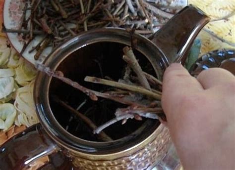 Трав'яний чай з гілочками, грушами-дичками і чорнобривцями покращує ...