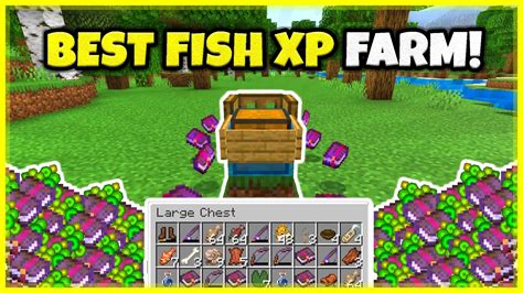 Best Fish Xp Farm Afk In Minecraft Bedrock Youtube