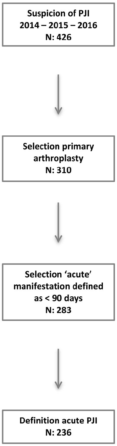 Flow Chart Patient Inclusion Download Scientific Diagram