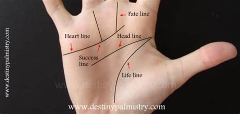 Fate Line Missing On The Palm What It Means Destiny Palmistry Home