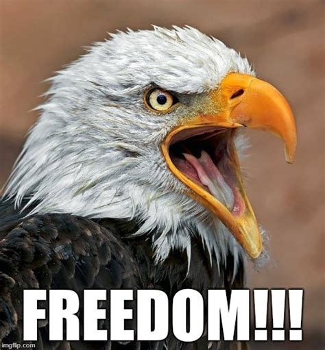 Freedom Meme