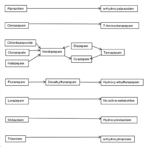 Benzodiazepine Metabolism Chart