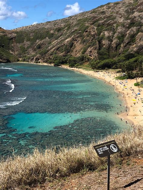 Hanauma Bay Snorkel Fun Honolulu 2019 All You Need To Know Before