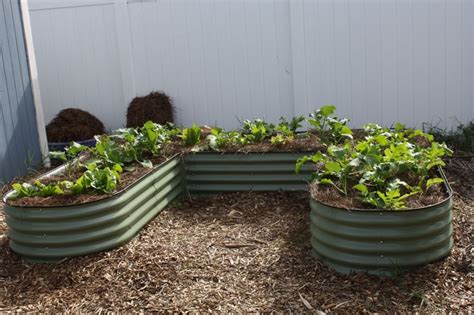 Best Position To Place The Metal Raised Garden Beds Vegega