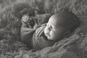 Chicago Fresh Newborn Photographer Hannah Drews Photography