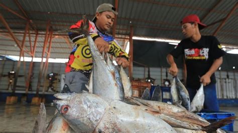 Harga Ikan Naik Akibat BBM Mahal