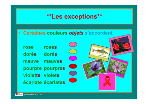 Les Adjectifs De Couleurs Explication Pdf