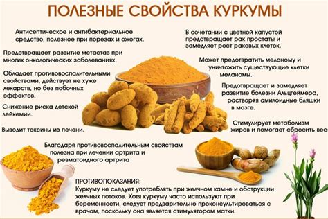 Куркума: что это такое, как выглядит, из чего делают приправу