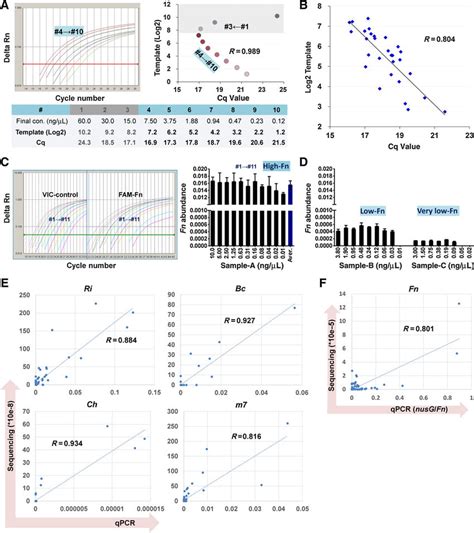 Assessment of the qPCR assays. A, Correlation between template quantity ...