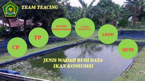 JENIS WADAH BUDI DAYA IKAN KONSUMSI By Nahda Hamid