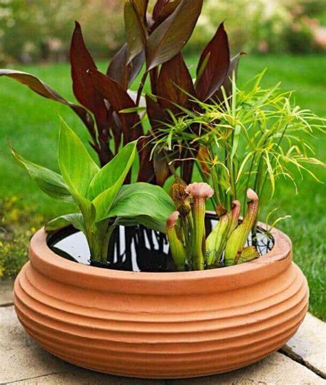 25 Ideas For Garden Pots And Containers