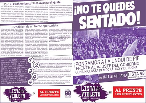 Plataforma De La Lista Violeta Elecciones CECSEA PSTU