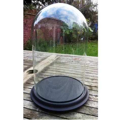 Clear Glass Large Dome Display With Ceramic Base Party Mill