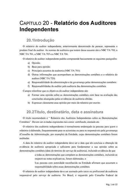 Capítulo 20 Relatório dos Auditores Independentes CAPÍTULO 20