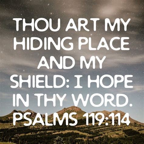 Psalm 119 114 Thou Art My Hiding Place And My Shield I Hope In Thy Word