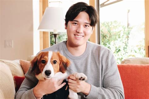 大谷翔平の愛犬・デコピングッズが続々登場、デーブ・スペクターは6100円の服を着てテレビ出演「大谷の許可は？」「デコピンの肖像権は？」を弁護士に聞いた 週刊女性prime