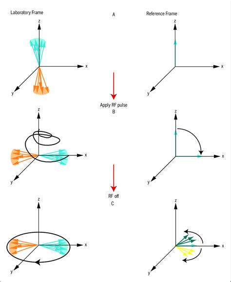 Graphical Depiction Of The Rotating Magnetic Moments In A Static