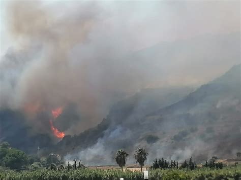 Incendi In Sicilia Il Governo Delibera Lo Stato Di Emergenza Per