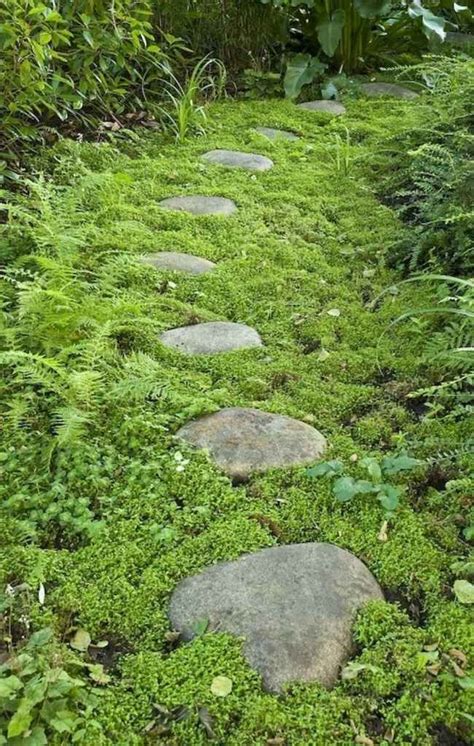 Top 100 Stepping Stones Pathway Remodel Ideas 80 Moss Garden