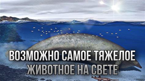 НОВОСТИ ПАЛЕОНТОЛОГИИ ВОЗМОЖНО САМОЕ ТЯЖЁЛОЕ ЖИВОТНОЕ НА СВЕТЕ - YouTube