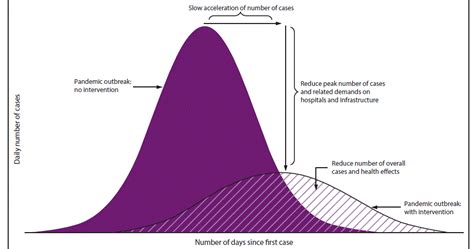 What Is The Curve Making Sense Of Covid Models Path