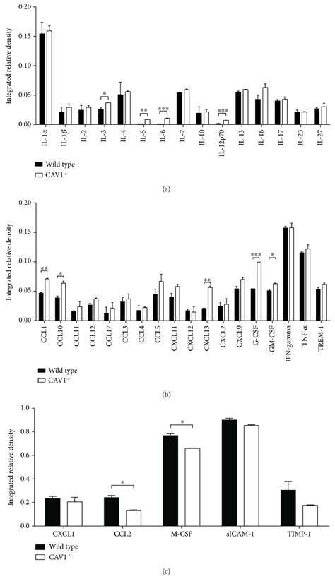 Caveolin 1 Knockout Mouse As A Model Of Inflammatory Diseases