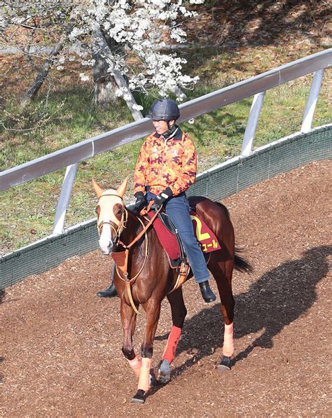 【桜花賞】ナミュールは角馬場で微調整「内に秘めているもの感じる」高野師も納得の仕上がり 3歳馬特集写真ニュース 日刊スポーツ