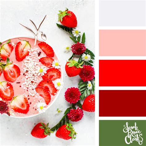 25 Summer Color Palettes Inspiring Color Schemes By Sarah Renae Clark