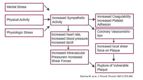 Pathophysiology of STEMI