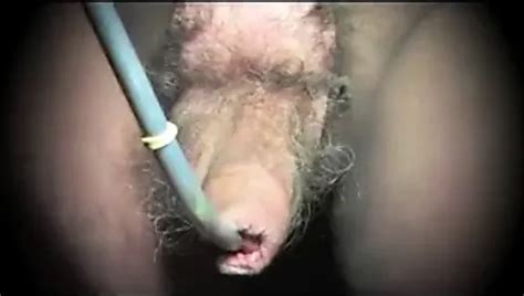 Travestite Dildo Cum Xhamster