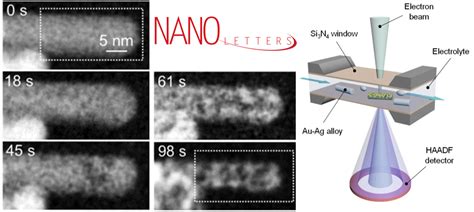 Dealloying Of AgAu Nanorods By In Situ Liquid Cell Scanning