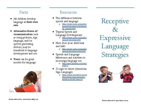 Receptive Expressive Language Brochure By The Sprouting Speechie Hot Sex Picture