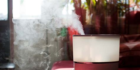 How Humidifiers Can Help With Asthma Symptoms Kelopa