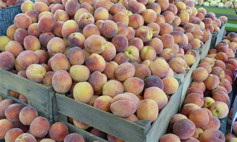 Leightys Farm Market Newry Pa