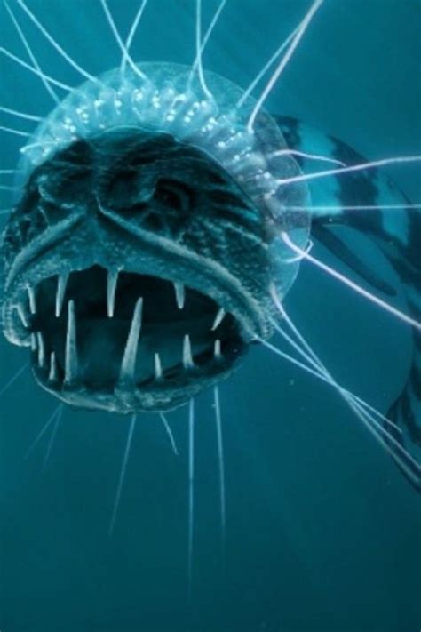 Top 10 Creepy Deep Sea Creatures Recently Discovered Video In 2020