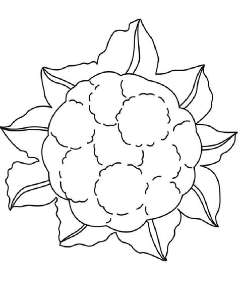 Desenhos De Couve Flor Para Colorir E Imprimir Colorironline