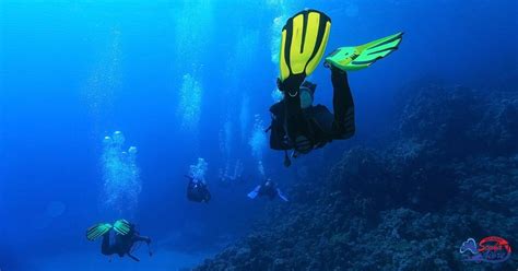 Scuba Diving - Snorkeling collection 2021 – Scuba diving varadero