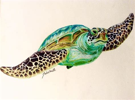 Realistic Turtle Drawing Color Drawing a turtle is a great experience ...