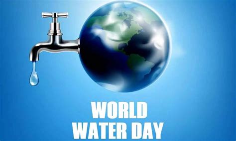 World Water Day 2024 Understanding The Vitality Of Water