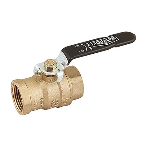 Aqualine Backflow Ball Valve Lead Free 1 In W Test Po Siteone
