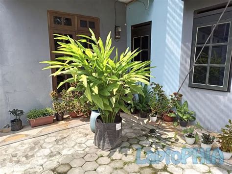 Review Infinix Hot S Performa Gaming Lancar Daya Tahan Baterai Super Laptophia