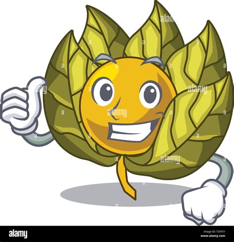 Thumbs Up Physalis Fruit In The Mascot Fridge Stock Vector Image Art