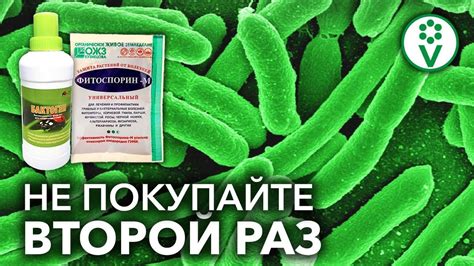 СЕННАЯ ПАЛОЧКА НИКОГДА НЕ ЗАКОНЧИТСЯ! Размножение жидких биопрепаратов ...