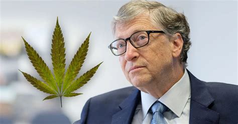 Bill Gates Confesó Que Consumió Marihuana Cuando Era Ilegal Esta Es La Historia Infobae