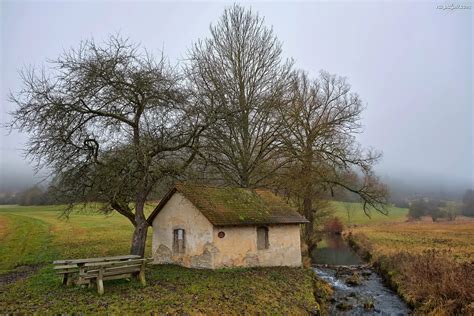 Rzeczka Dom Ławka Pole Drzewa Na Pulpit