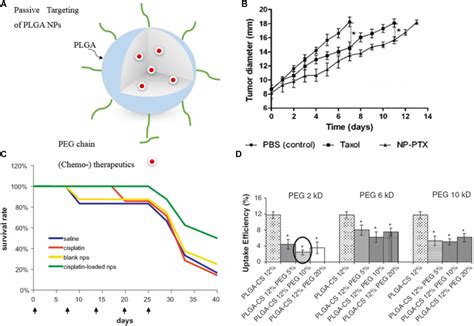 Frontiers Plga Based Nanoparticles In Cancer Treatment