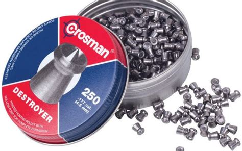 Top 6 Most Accurate 177 Caliber Pellets In 2025 And Buying Guide