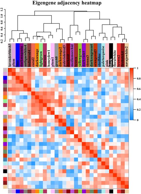 Modules From Weighted Gene Coexpression Network Analysis Wgcna Each